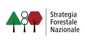 nuova strategia forestale nazionale